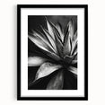 Framed botanical wall art showcasing a vibrant succulent design in a sleek black frame with a mat, ideal for home decor and nature enthusiasts.