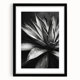 Framed botanical wall art showcasing a vibrant succulent design in a sleek black frame with a mat, ideal for home decor and nature enthusiasts.