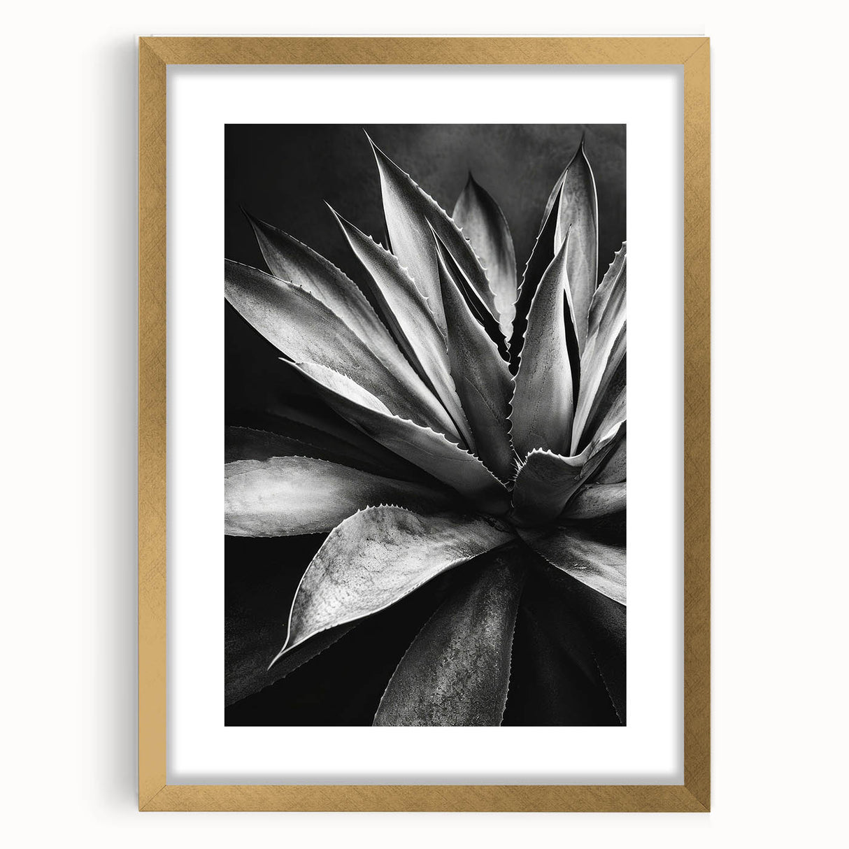 Botanical wall art collection showcasing vibrant succulent designs in a gold frame with matting, perfect for home decor and adding a touch of nature.