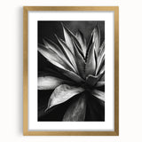 Botanical wall art collection showcasing vibrant succulent designs in a gold frame with matting, perfect for home decor and adding a touch of nature.