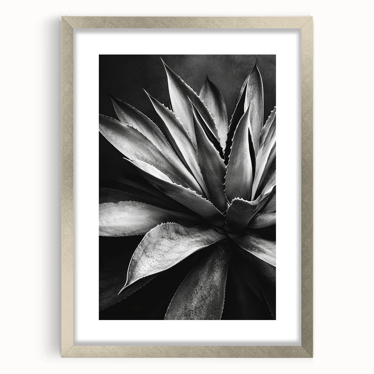 Framed wall art featuring a botanical design of colorful succulents, set in a sleek silver frame with a mat, perfect for adding a modern touch to home decor.