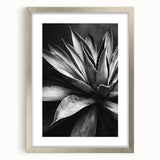 Framed wall art featuring a botanical design of colorful succulents, set in a sleek silver frame with a mat, perfect for adding a modern touch to home decor.