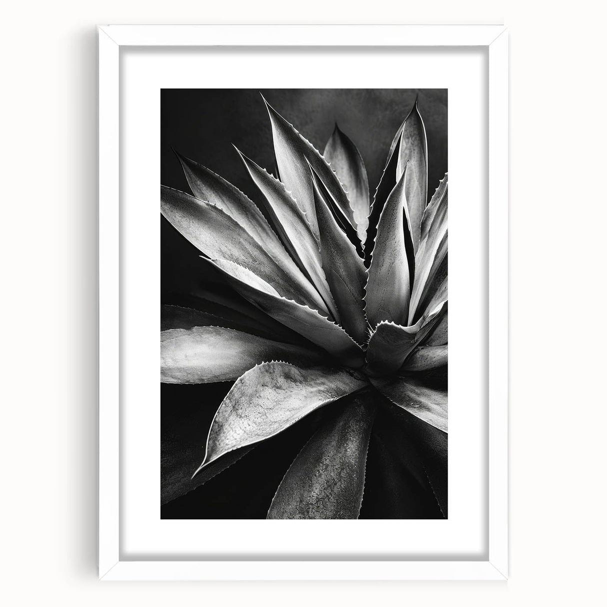 Botanical wall art collection featuring a design of colorful succulents in a white frame with a mat, perfect for enhancing home decor and adding a touch of nature.