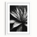 Botanical wall art collection featuring a design of colorful succulents in a white frame with a mat, perfect for enhancing home decor and adding a touch of nature.