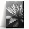 Framed botanical wall art featuring vibrant succulents in a unique design, showcased in a sleek black frame, ideal for home decor and enhancing indoor spaces.