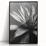 Framed botanical wall art featuring vibrant succulents in a unique design, showcased in a sleek black frame, ideal for home decor and enhancing indoor spaces.