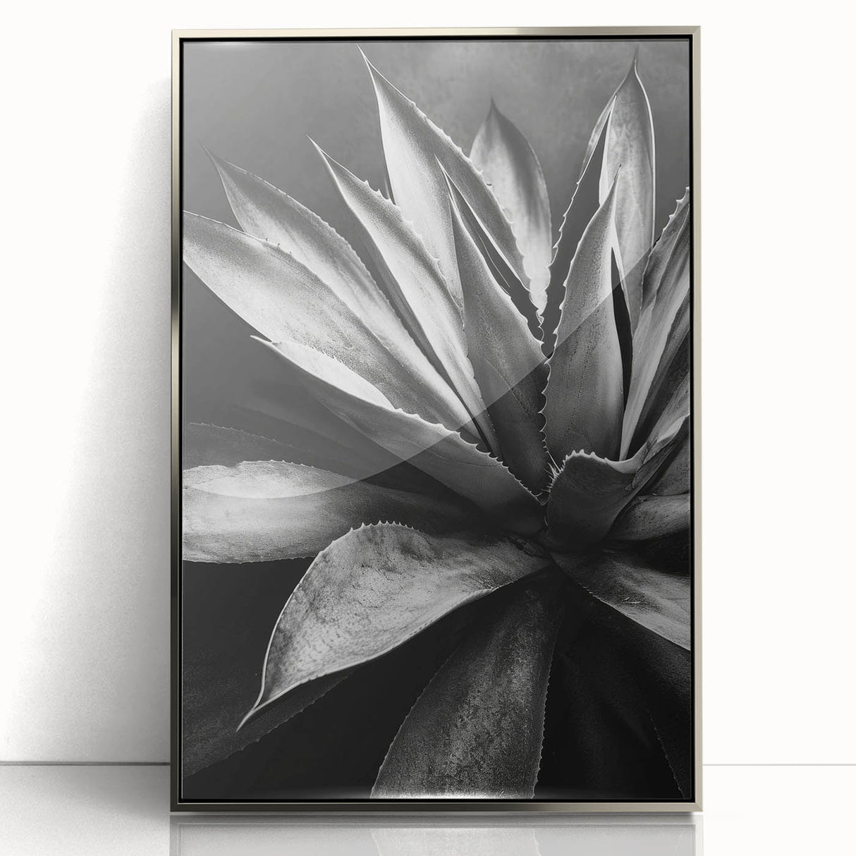 Framed wall art collection showcasing a vibrant botanical design of assorted succulents in various colors, elegantly displayed with a silver-acrylic frame.