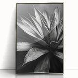 Framed wall art collection showcasing a vibrant botanical design of assorted succulents in various colors, elegantly displayed with a silver-acrylic frame.