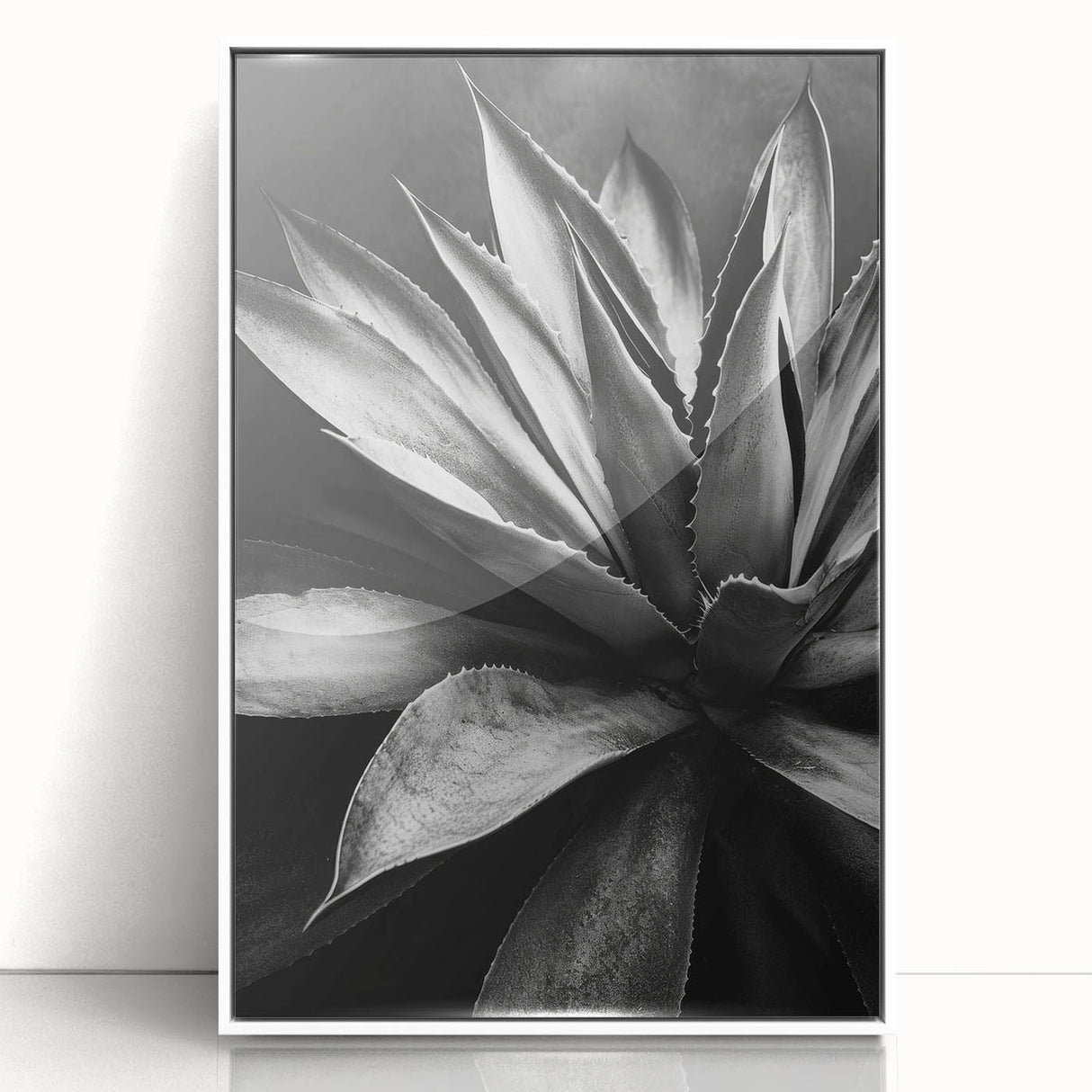 Framed wall art collection showcasing vibrant botanical succulents design in a sleek white frame, perfect for enhancing modern home decor aesthetics.