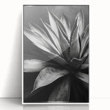 Framed wall art collection showcasing vibrant botanical succulents design in a sleek white frame, perfect for enhancing modern home decor aesthetics.