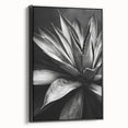 Framed wall art featuring a botanical design of vibrant succulents on a black background, showcasing unique textures and vivid colors, perfect for home decor.