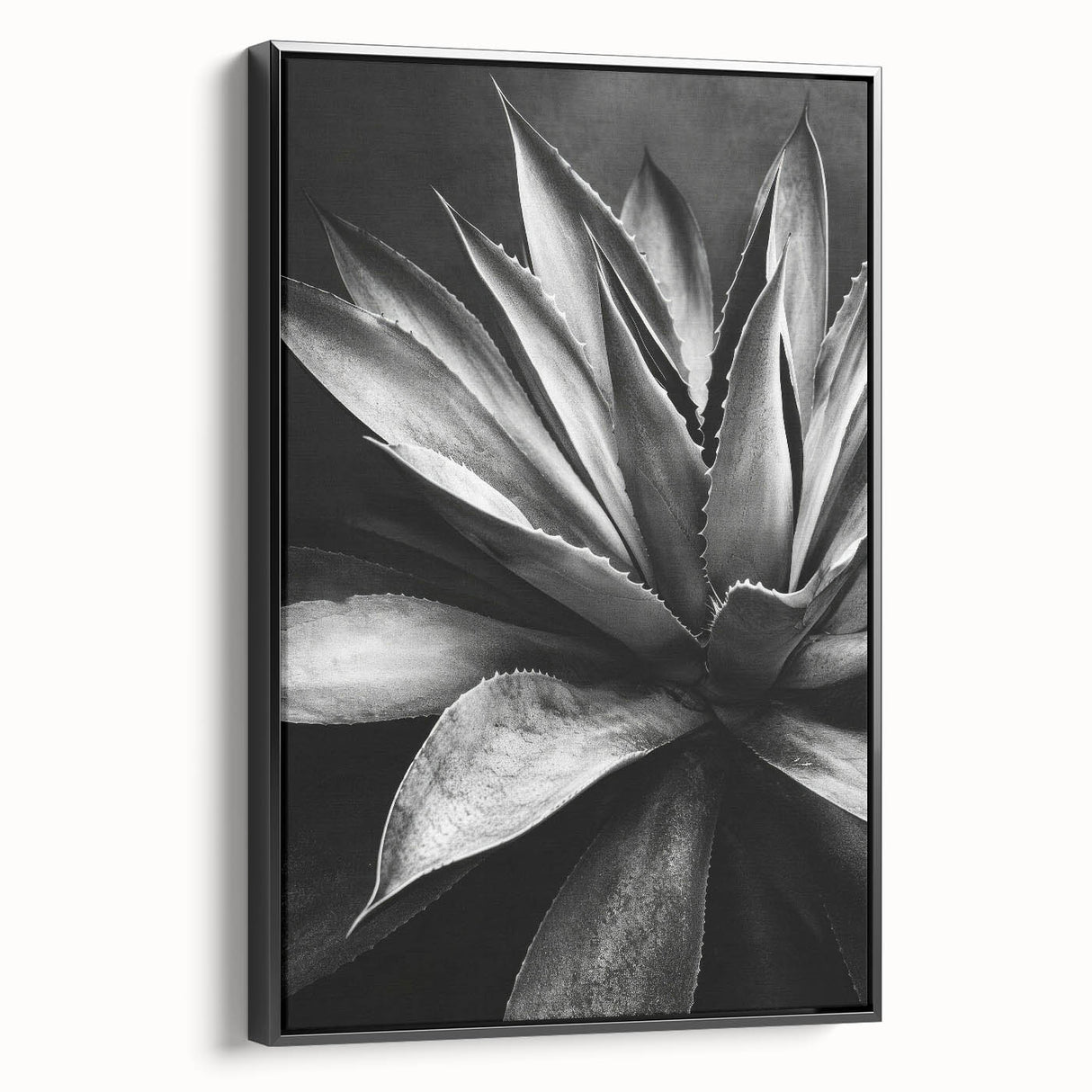 Framed wall art featuring a botanical design of vibrant succulents on a black background, showcasing unique textures and vivid colors, perfect for home decor.