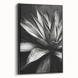 Framed wall art featuring a botanical design of vibrant succulents on a black background, showcasing unique textures and vivid colors, perfect for home decor.