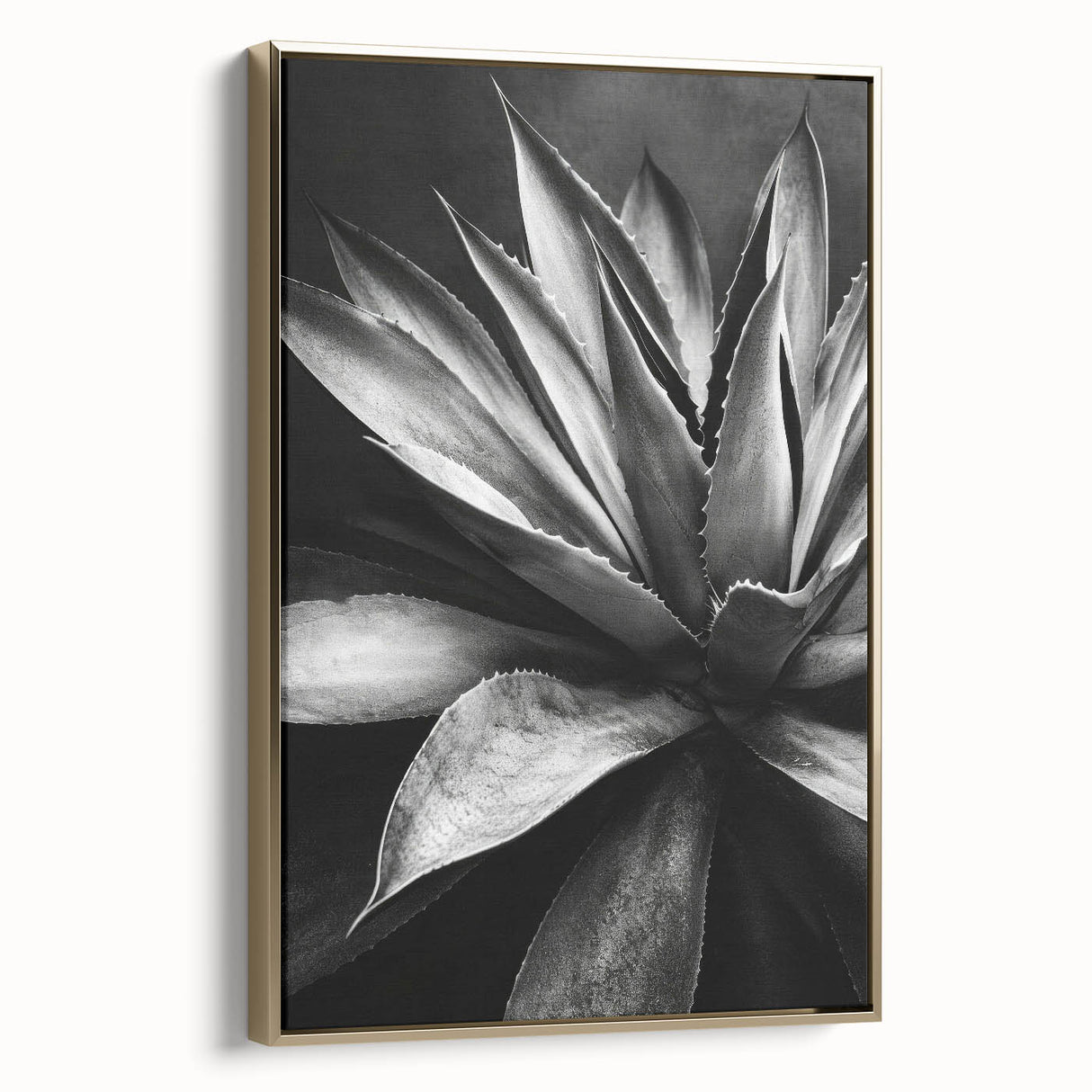 Framed canvas wall art featuring a vibrant botanical design of assorted succulents in gold tones, showcasing a side view of the artwork. Perfect for enhancing home decor.