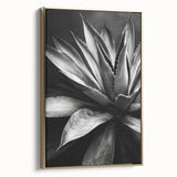 Framed canvas wall art featuring a vibrant botanical design of assorted succulents in gold tones, showcasing a side view of the artwork. Perfect for enhancing home decor.