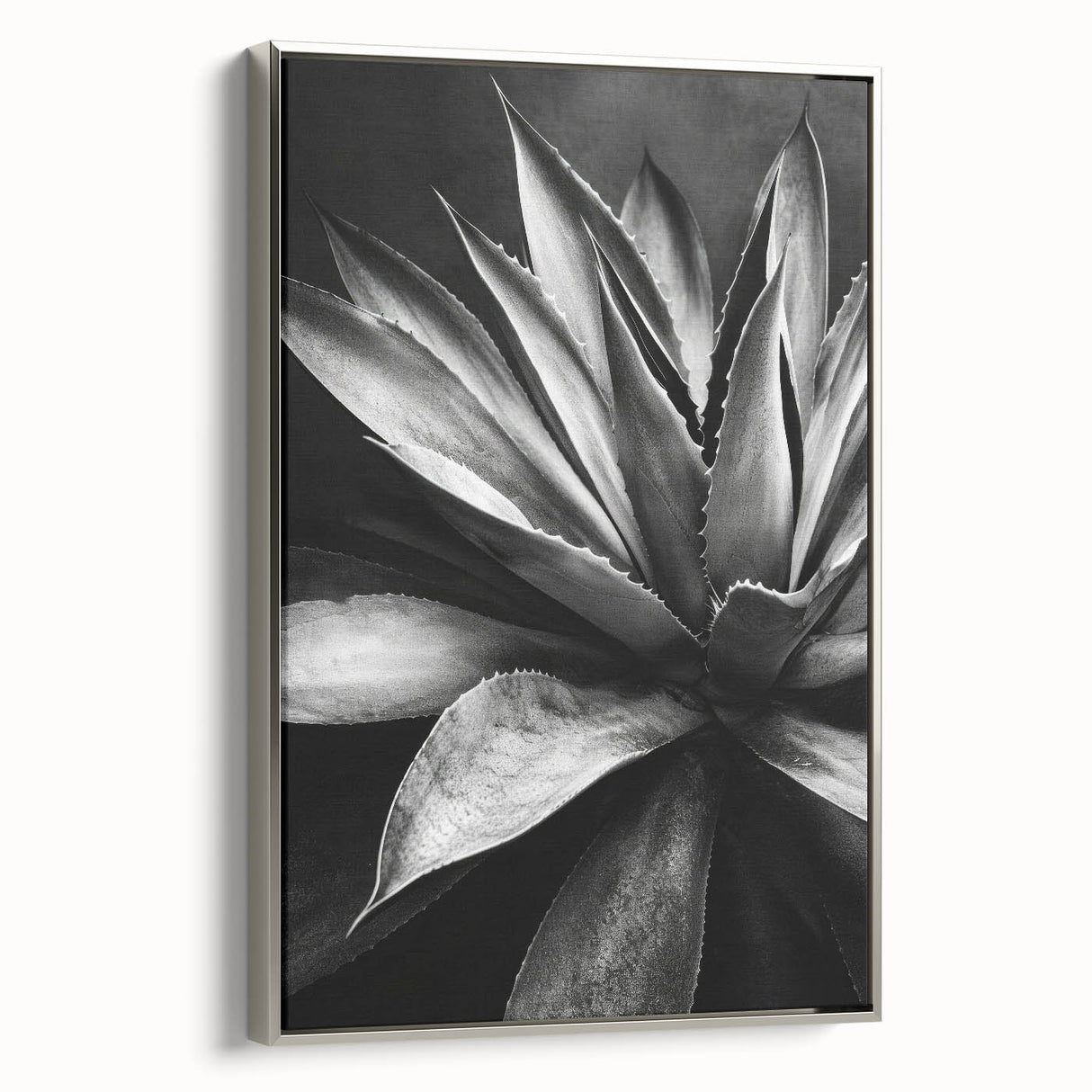 Framed canvas wall art showcasing a botanical design of succulents, featuring a silver frame with a side view that highlights its elegant aesthetics and modern decor appeal. Perfect for enhancing home interiors or office spaces.