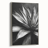 Framed canvas wall art showcasing a botanical design of succulents, featuring a silver frame with a side view that highlights its elegant aesthetics and modern decor appeal. Perfect for enhancing home interiors or office spaces.