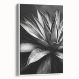 Framed canvas wall art showcasing a botanical design of colorful succulents against a white background, perfect for home decor enthusiasts seeking a vibrant, nature-inspired touch.
