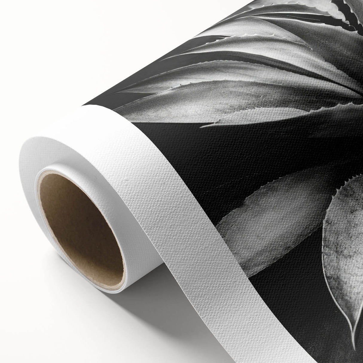 Botanical wall art collection showcasing vibrant succulents and flowers on rolled canvas, perfect for home decor. Textured design adds depth and elegance.