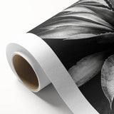 Botanical wall art collection showcasing vibrant succulents and flowers on rolled canvas, perfect for home decor. Textured design adds depth and elegance.