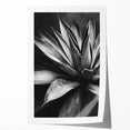 Botanical wall art print showcasing vibrant succulents in an intricate design, rolled for easy display, ideal for home decor enthusiasts. Perfect for adding a touch of nature to any space.