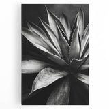 Botanical wall art collection featuring vibrant succulent illustrations on stretched canvas, showcasing intricate details and colors, ideal for home decor enhancement.