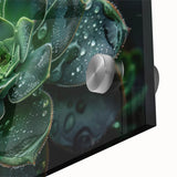 Vibrant close-up of a botanical wall art design featuring an array of colorful succulents, displayed on acrylic glass for a modern, stylish decor accent. Perfect for nature lovers and home decoration enthusiasts.