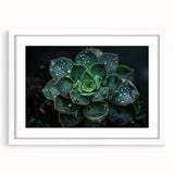 Botanical wall art collection featuring a framed design of colorful succulents and flowers, set against a white backdrop, perfect for home decor.