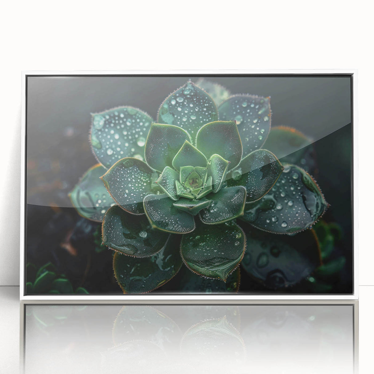 Framed botanical wall art print showcasing a vibrant collection of succulents in a white frame, perfect for home decor or office aesthetics.
