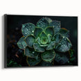 Framed wall art featuring a botanical design of colorful succulents, set against a black background, showcasing vibrant greenery and intricate details. Ideal for enhancing home decor.