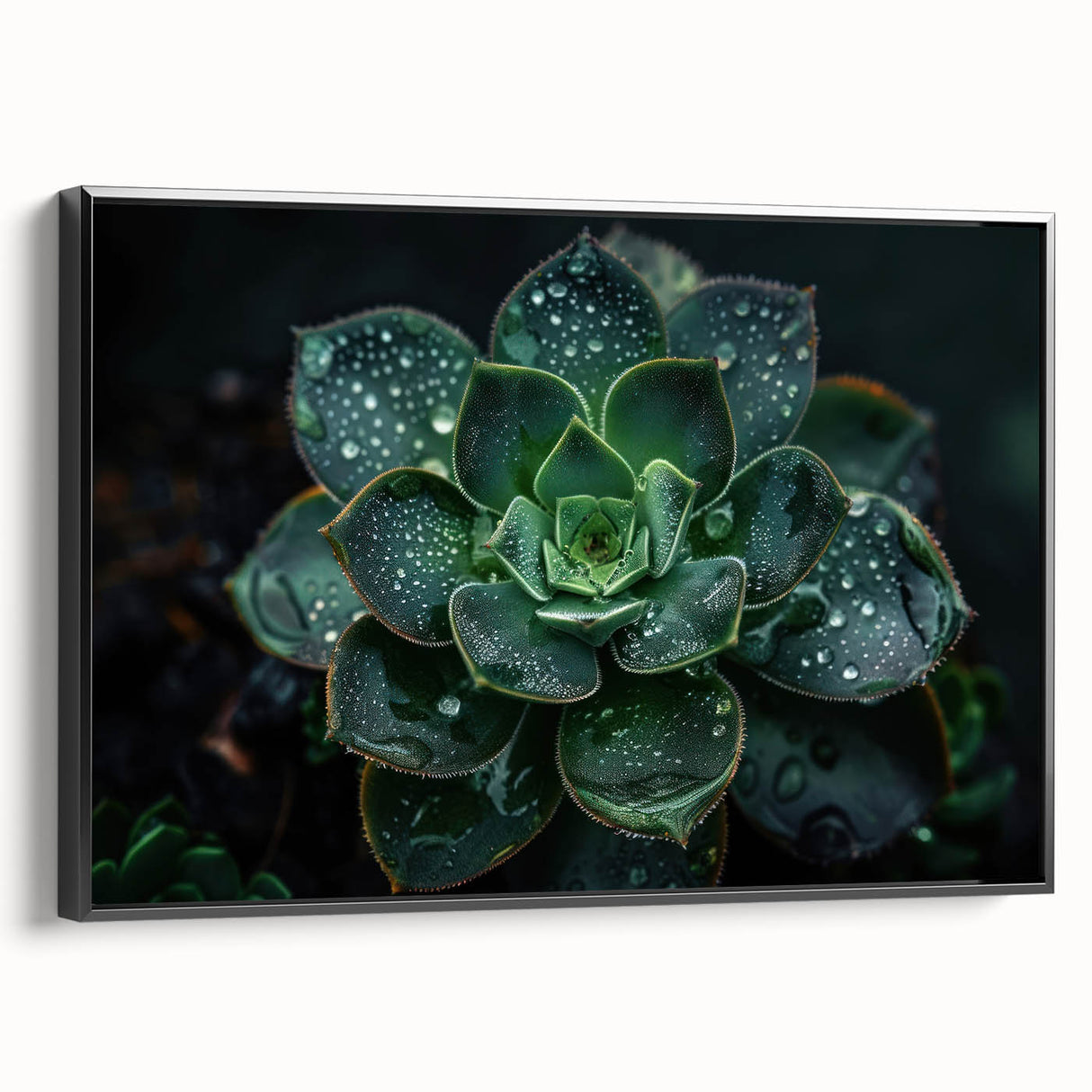 Framed wall art featuring a botanical design of colorful succulents, set against a black background, showcasing vibrant greenery and intricate details. Ideal for enhancing home decor.
