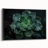 Framed wall art featuring a botanical design of colorful succulents, set against a black background, showcasing vibrant greenery and intricate details. Ideal for enhancing home decor.