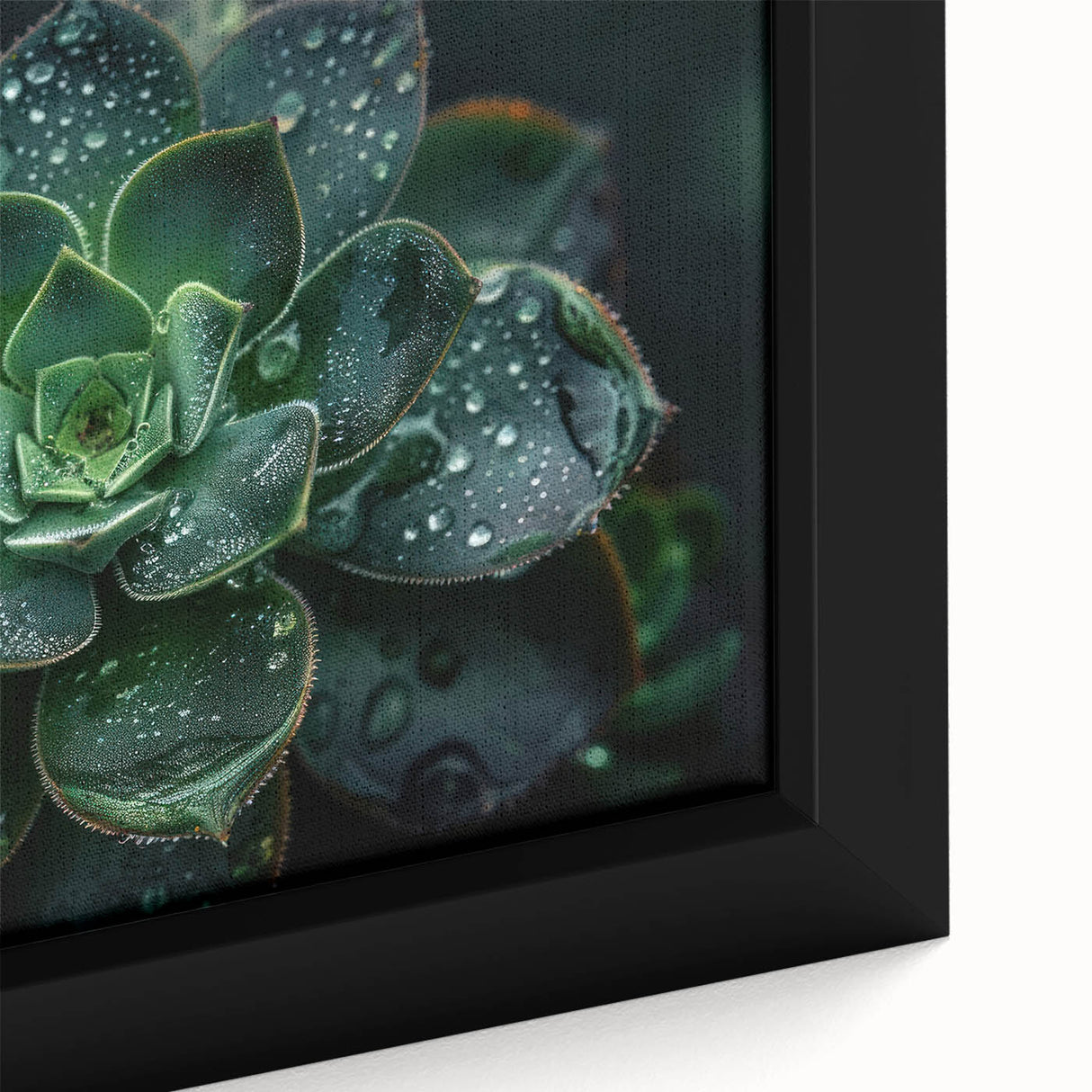 Close-up of a framed canvas wall art showcasing a vibrant collection of botanical succulents, featuring detailed textures and rich colors, perfect for home decor.