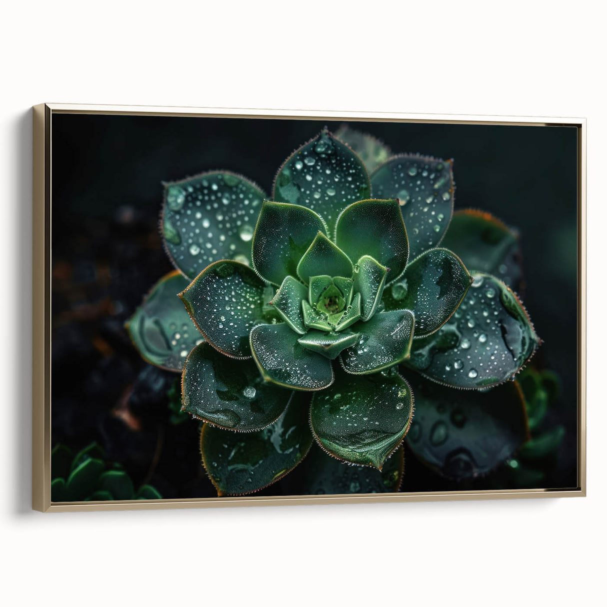 Framed canvas wall art showcasing a botanical design of colorful succulents with a gold frame, perfect for enhancing home decor and adding a touch of nature.