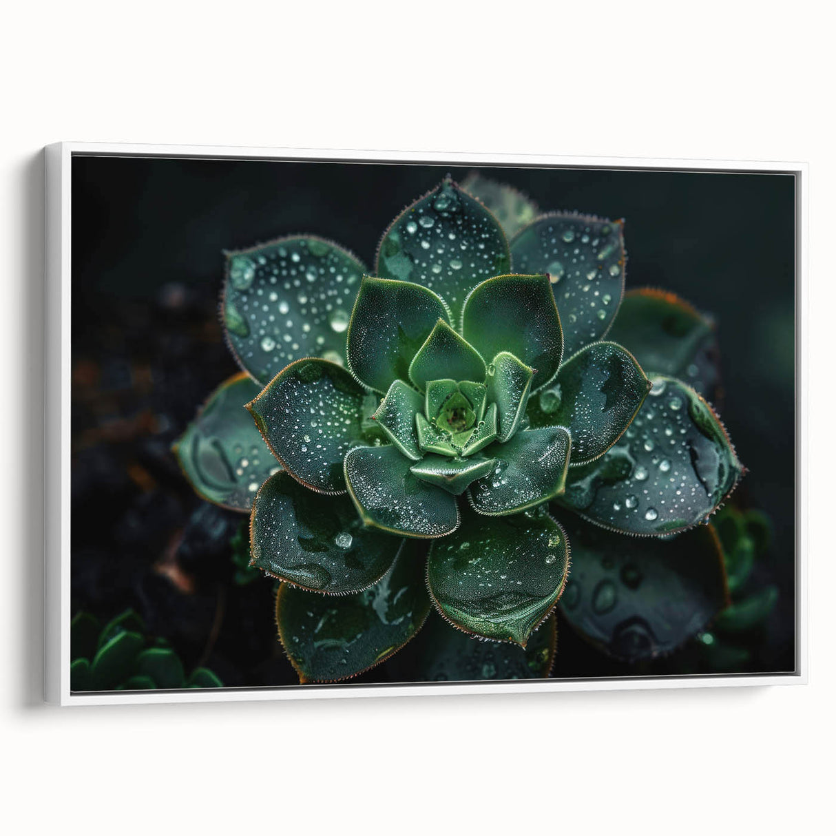 Framed canvas wall art showcasing a vibrant botanical design with various succulents in shades of green and pink, set against a white background for a fresh look. This piece adds a lively touch to home decor, perfect for nature enthusiasts.