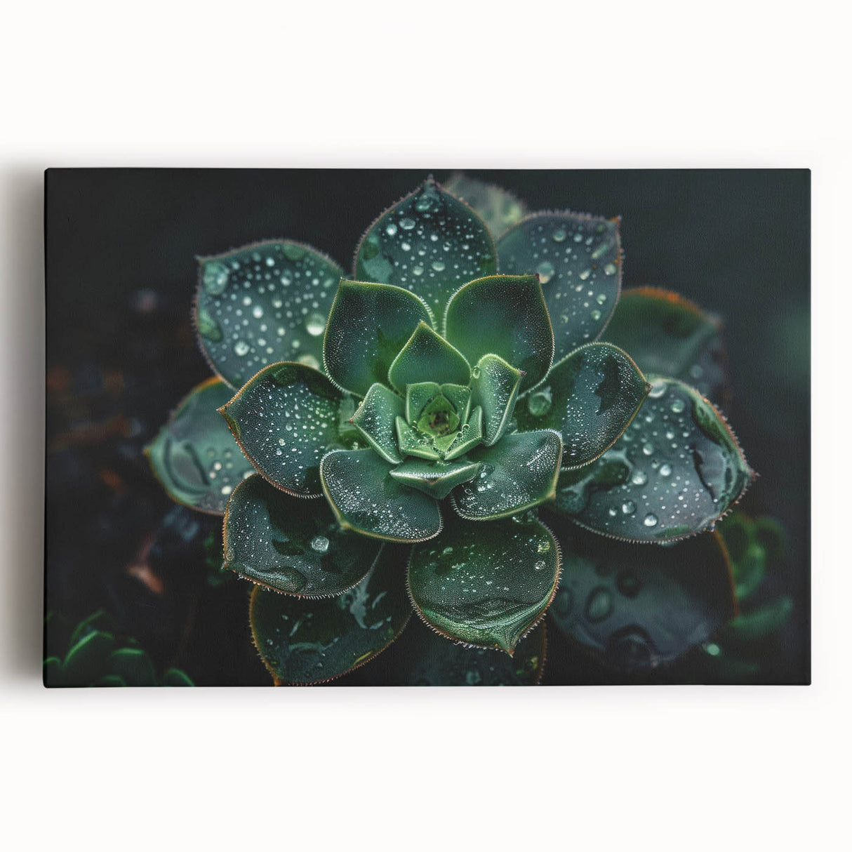 Colorful botanical wall art featuring a collection of vibrant succulents, displayed on a stretched canvas, perfect for enhancing home décor or office spaces.