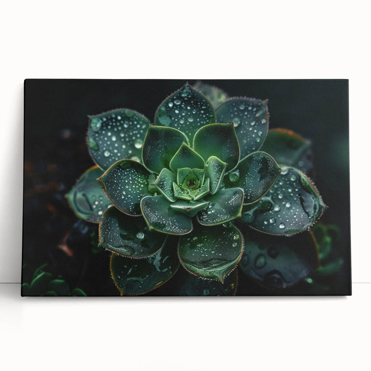 Stretched canvas artwork showcasing a vibrant botanical design featuring colorful succulents, perfect for modern home decor, leaning against a textured wall.