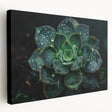 Stretched canvas wall art showcasing a vibrant collection of botanical succulents in various hues, perfect for adding a touch of nature to any modern decor.