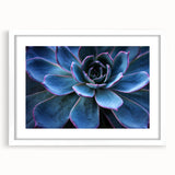 Botanical wall art featuring a floral and succulent design, framed with a white mat, showcasing vibrant colors and intricate details, perfect for home decor.