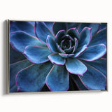Framed canvas wall art showcasing a botanical design featuring vibrant succulents against a silver background, perfect for modern home decor accents.