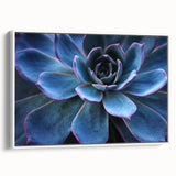 Framed canvas wall art showcasing a vibrant botanical design of succulents, featuring a white background and a sleek side view, perfect for home decor enhancement.