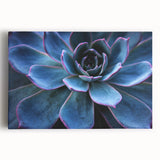 Colorful botanical wall art featuring a collection of succulent designs on stretched canvas, ideal for home decor, bringing a vibrant touch to any space. The artwork showcases intricate details and rich colors, perfect for plant enthusiasts.