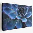 Stretched canvas wall art showcasing a vibrant botanical design with colorful succulents, perfect for home decor. Ideal for adding a fresh, natural touch to any room.