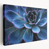 Stretched canvas wall art showcasing a vibrant botanical design with colorful succulents, perfect for home decor. Ideal for adding a fresh, natural touch to any room.