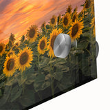 Close-up of a vibrant sunflower wall art piece, showcasing intricate botanical details and rich colors, perfect for brightening home decor and adding a natural touch.