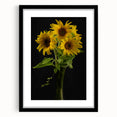 Botanical wall art collection featuring a framed sunflower design with a black matting, showcasing vibrant yellow petals set against a clean white background, ideal for home decor.