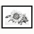 Botanical wall art featuring a stunning sunflower design in a black frame with a mat. Ideal for home decor, this piece adds vibrant color and a natural touch to any room.