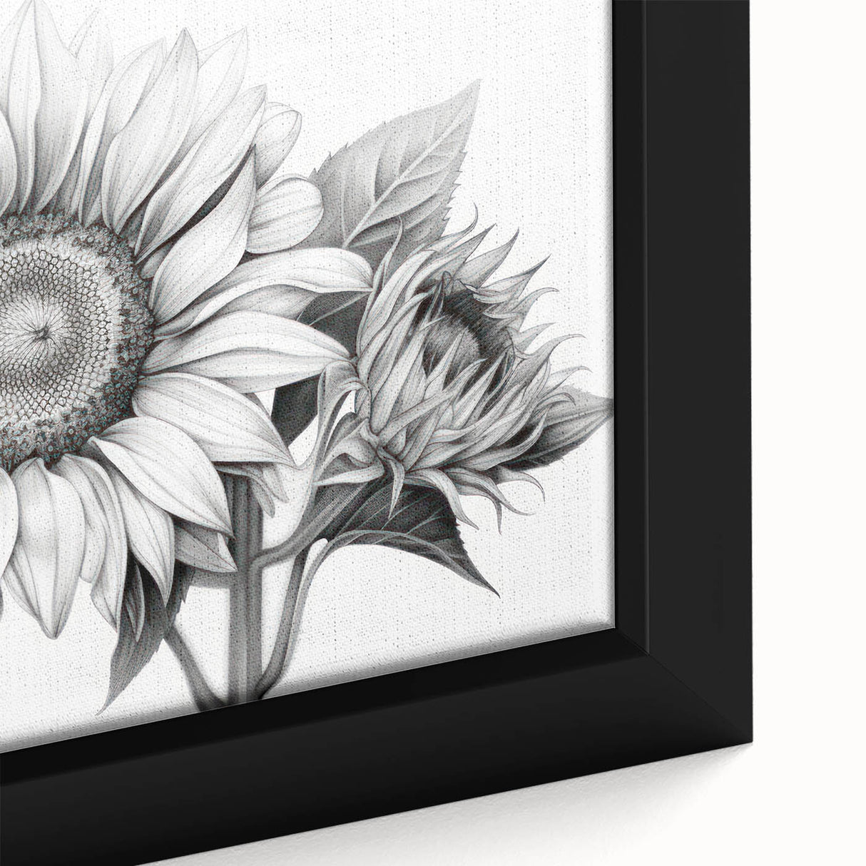 Close-up of a beautifully framed botanical sunflower wall art piece, showcasing vibrant yellow petals against a textured background, perfect for brightening home decor.