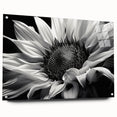 Acrylic glass wall art featuring a vibrant sunflower botanical design, showcased from the side with decorative pins, ideal for brightening home decor.