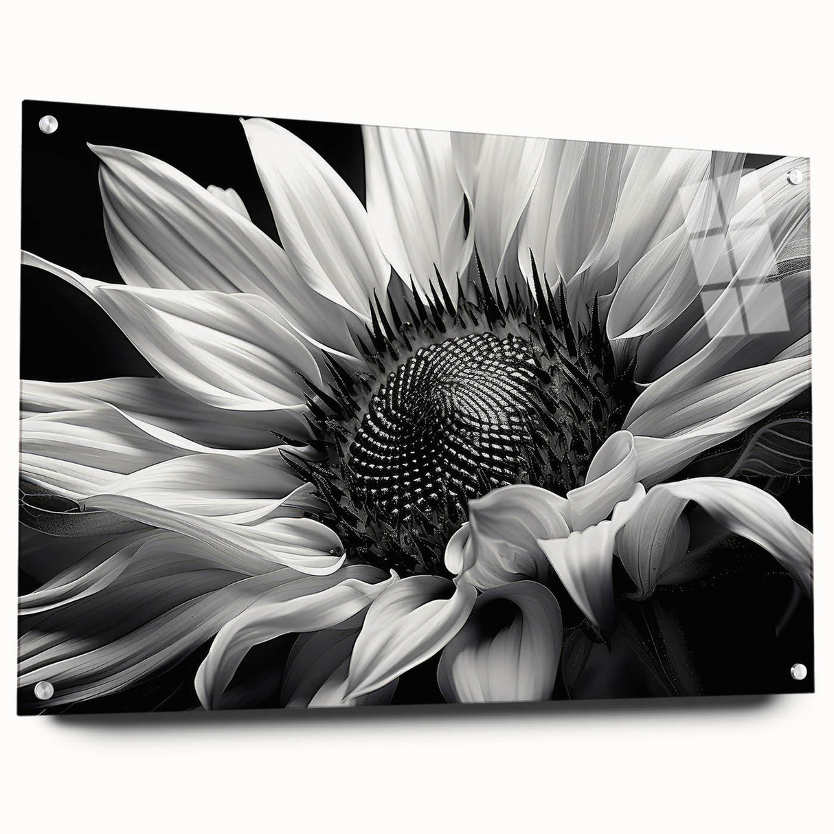 Acrylic glass wall art featuring a vibrant sunflower botanical design, showcased from the side with decorative pins, ideal for brightening home decor.